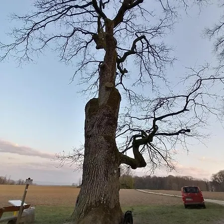 D'hotes Chez Loulou Et Caramel * Magstatt-le-Bas