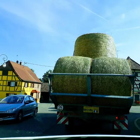 D'hotes Chez Loulou Et Caramel *