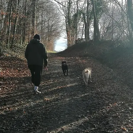 D'hotes Chez Loulou Et Caramel * Magstatt-le-Bas