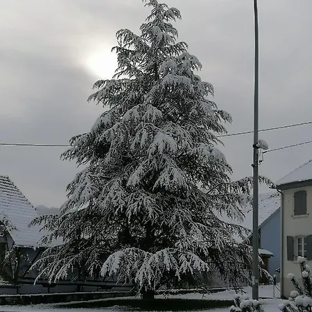 D'hotes Chez Loulou Et Caramel Magstatt-le-Bas
