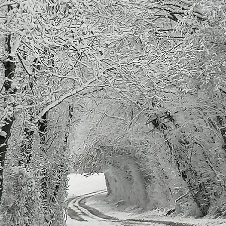 D'hotes Chez Loulou Et Caramel Magstatt-le-Bas