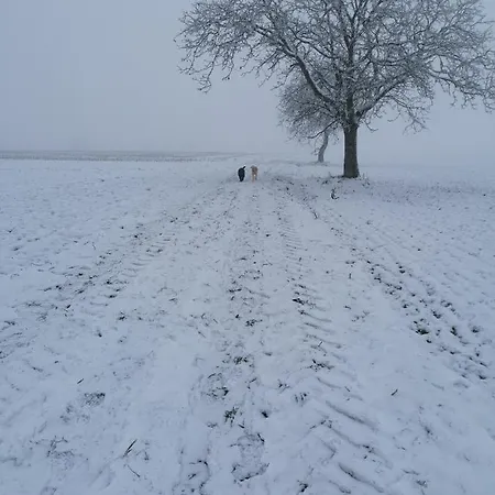 Kwatera prywatna D'hotes Chez Loulou Et Caramel