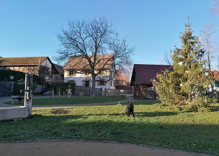 D'hotes Chez Loulou Et Caramel * Magstatt-le-Bas