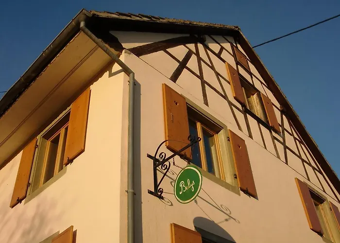 D'hotes Chez Loulou Et Caramel Privat bolig Magstatt-le-Bas